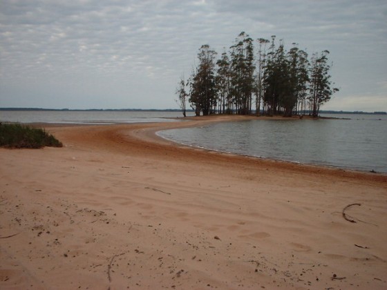 PLAYA Y ARBOLES.jpg